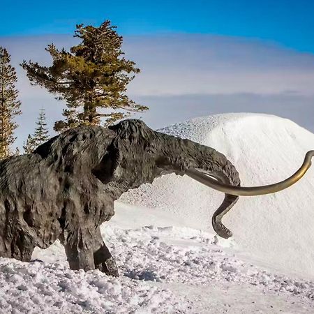 Апартаменты La Vista Blanc Маммот Лейкс Экстерьер фото